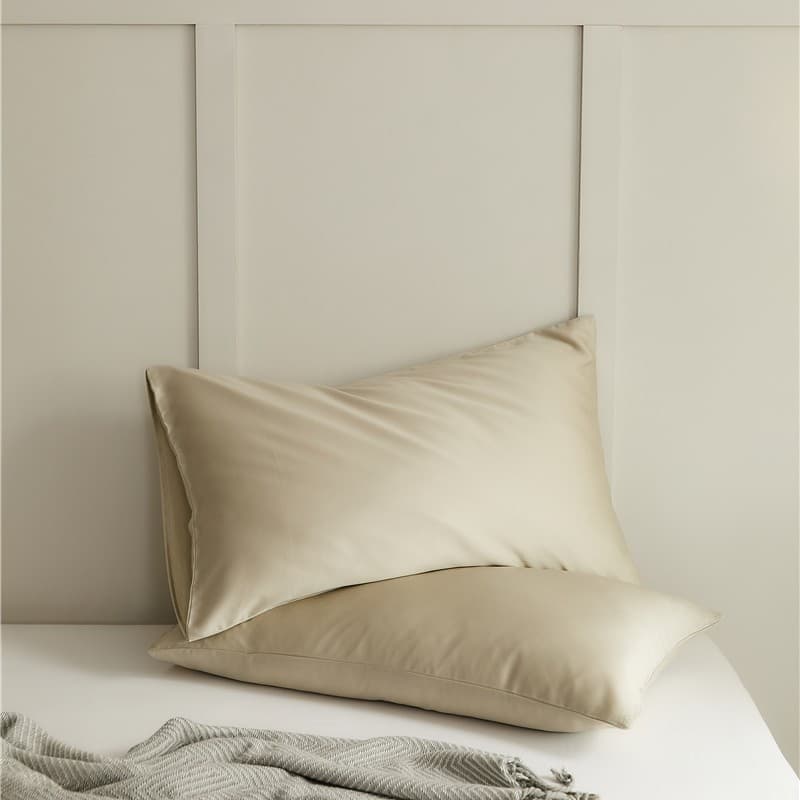 Premium Summer Solid Color 60S Imported Tencel Pillowcase Single 48cm x 74cm Ice Silk Pillowcase Pair for Home