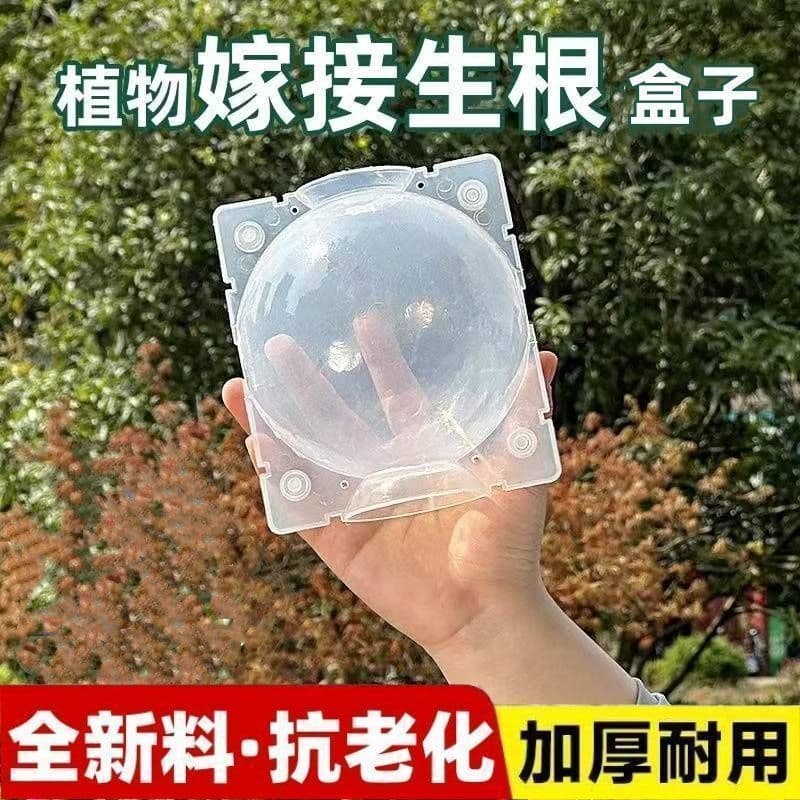 Plant Grafting, High-Pressure Propagation of Branches, Nursery Seedling Cultivation, Fruit Tree Cuttings Rooting, Automatic Tool