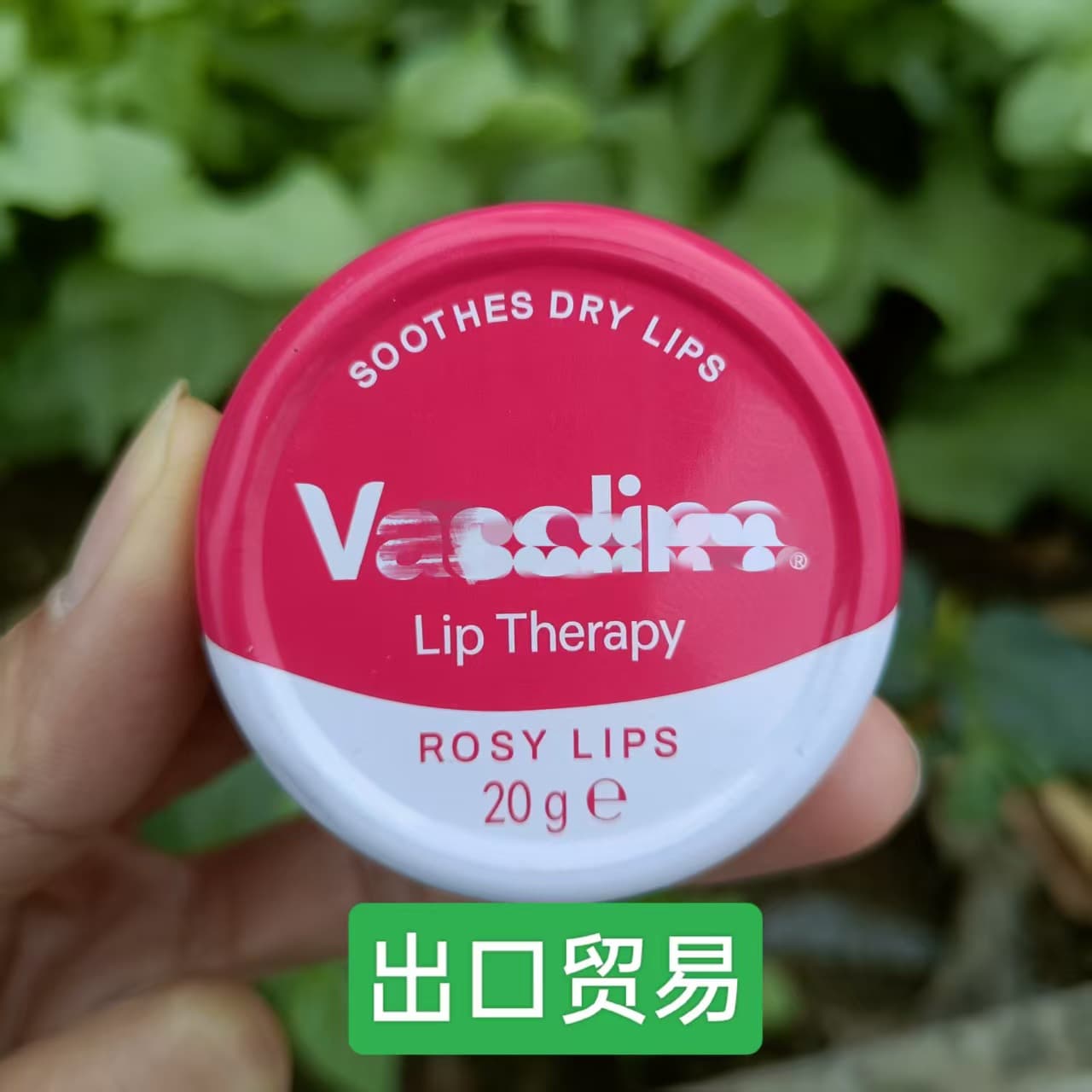 Best-Selling in the Middle East and Africa, Faneslin 20g Rose Lip Balm, Lightens Lip Lines, Moisturizes and Nourishes, Lip Oil Lip Balm