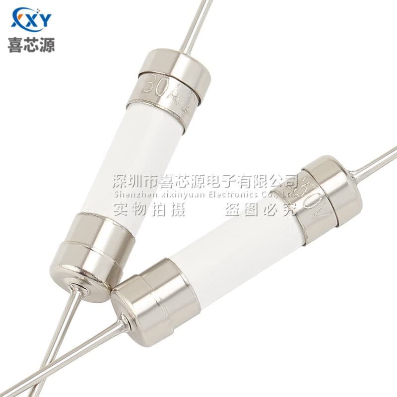 Source manufacturer 5*20 double cap ceramic fuse T1A/2/3.15/4/5/6.3 A- 30A slow break pin