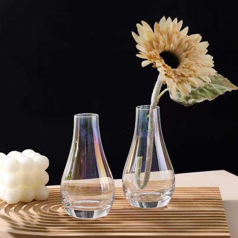 Ins-style small fresh glass vase, transparent, high appearance, suitable for hydroponic and cut flower arrangement, creative decorative ornament for living room