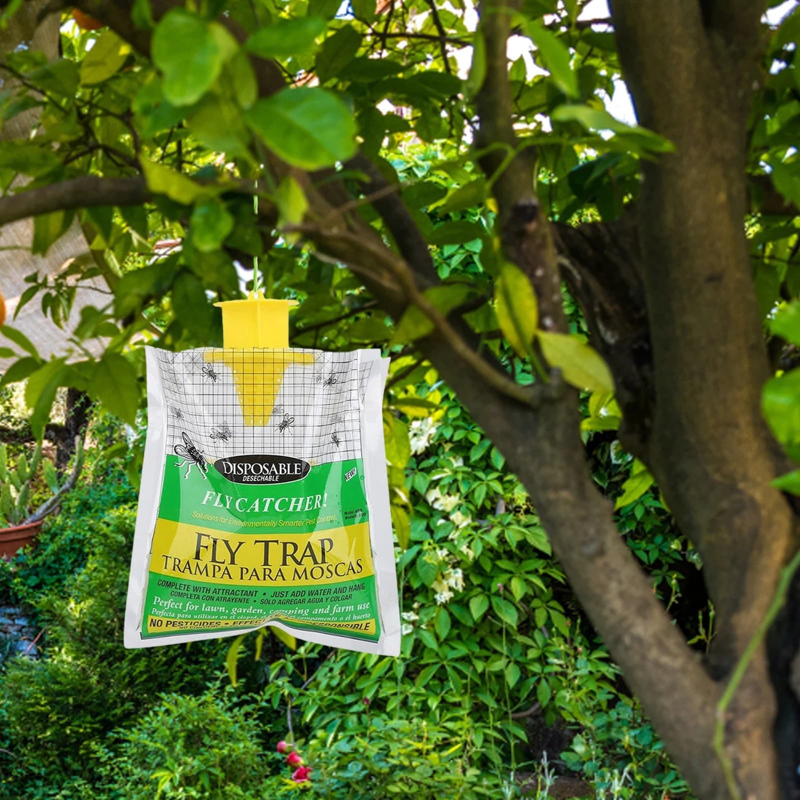 Supply fly bags, fly traps, fly killers, fly catchers