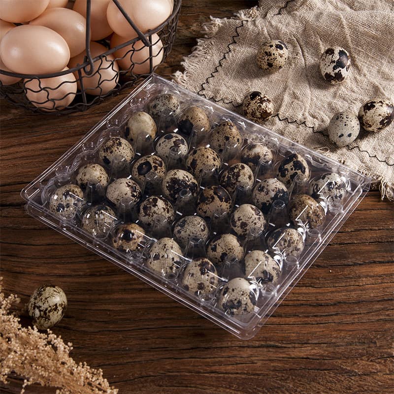 Factory Direct Multi-Model Quail Egg Tray Transparent Plastic Quail Egg Packaging Box Disposable