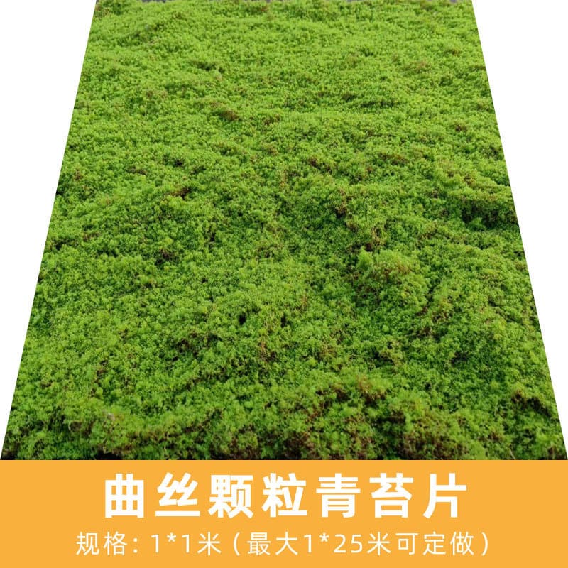 Artificial Moss Green Fake Velvet Moss Micro Landscape Decoration Moss Bonsai Artificial Plant Wall Turf
