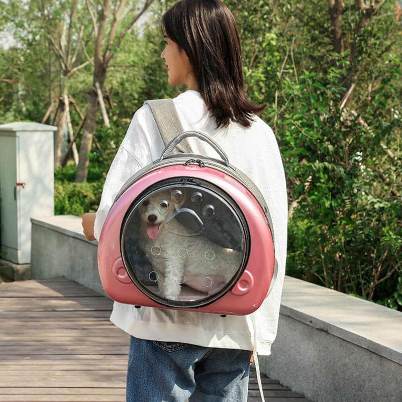 Portable New Pet Backpack, Transparent Outing Bag, Breathable Cat Bag, Double Shoulder Space Bag, Large Capacity Wholesale Cat Cage