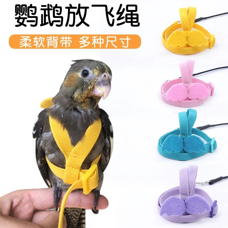 Parrot Flight Harness Ultra-Light Leash for Lovebird Cockatiel Sun Conure Walking