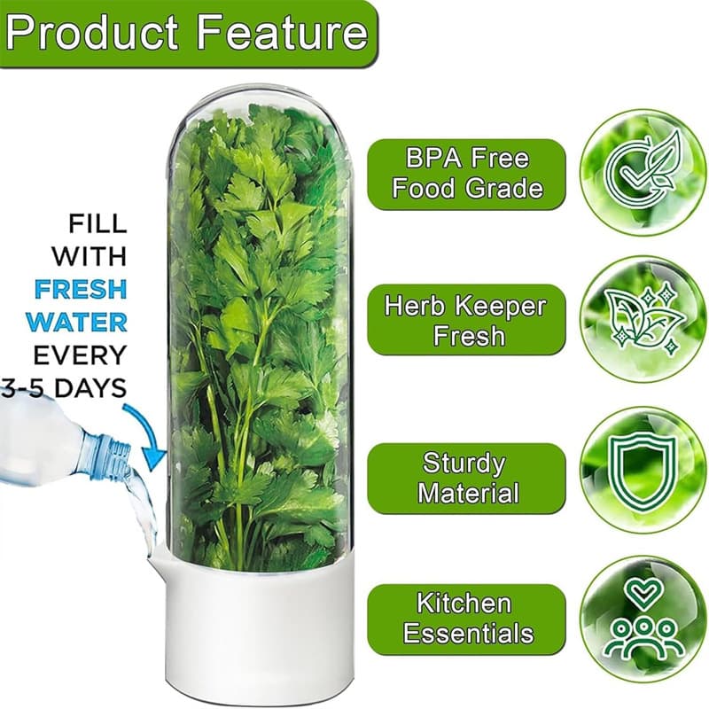 Temu Shein Amazon Cross-Border Popular Vanilla Preservation Box Vegetable Preservation Box Vanilla Planting Preservation Box