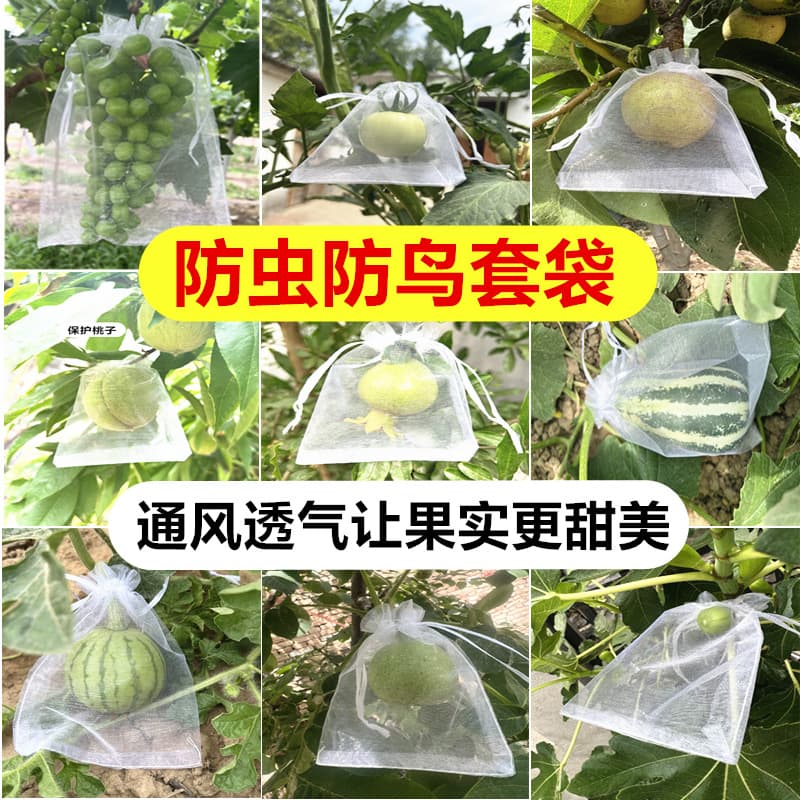 Fruit Tree Net Bag Grape Cover Bag for Drying, Breathable, Anti-Corrosion, Anti-Mildew, Drawstring Net Bag, Fruit Protection Bag, Breathable and Mildew Resistant