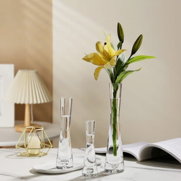 Instagram-worthy Nordic minimalist single-stem floral vase, transparent hydroponic vase, living room decoration, art glass bottle.