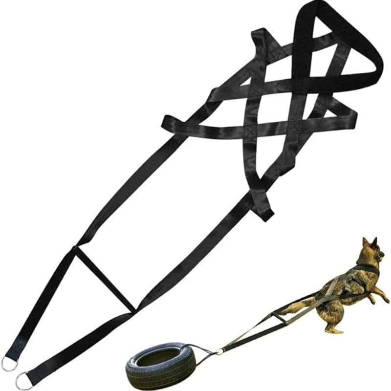 Multifunctional Dog Training Harness for Sled Pulling, Pet Training, Muscle Explosive Power Supplies