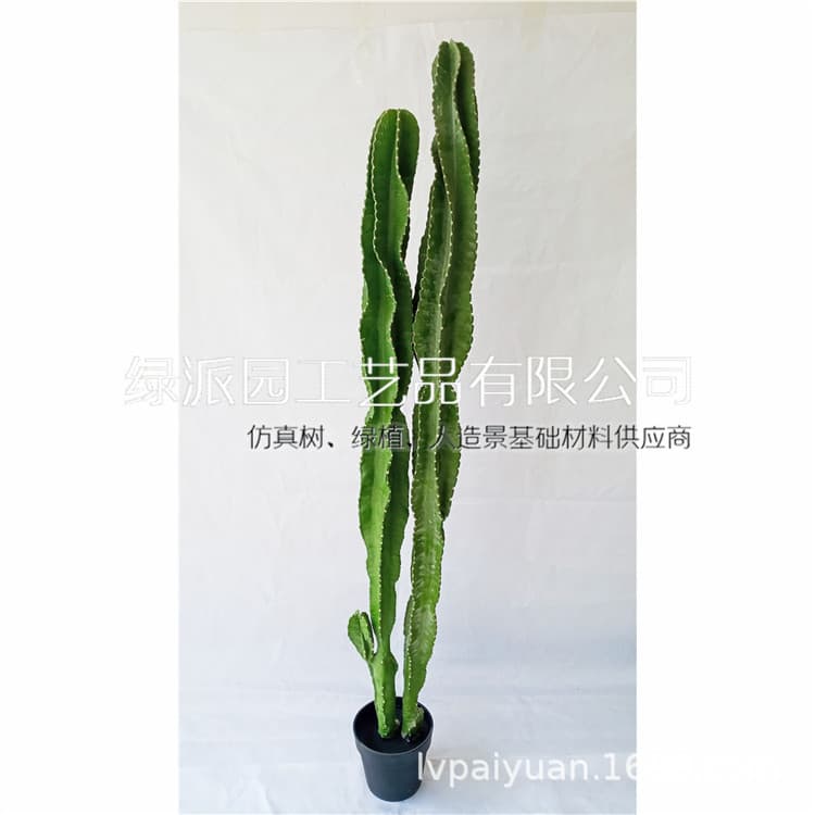 Simulated cactus, artificial greenery, window display, soft furnishings, desert landscaping, sisal, simulated dragon blood tree, cactus, dracaena