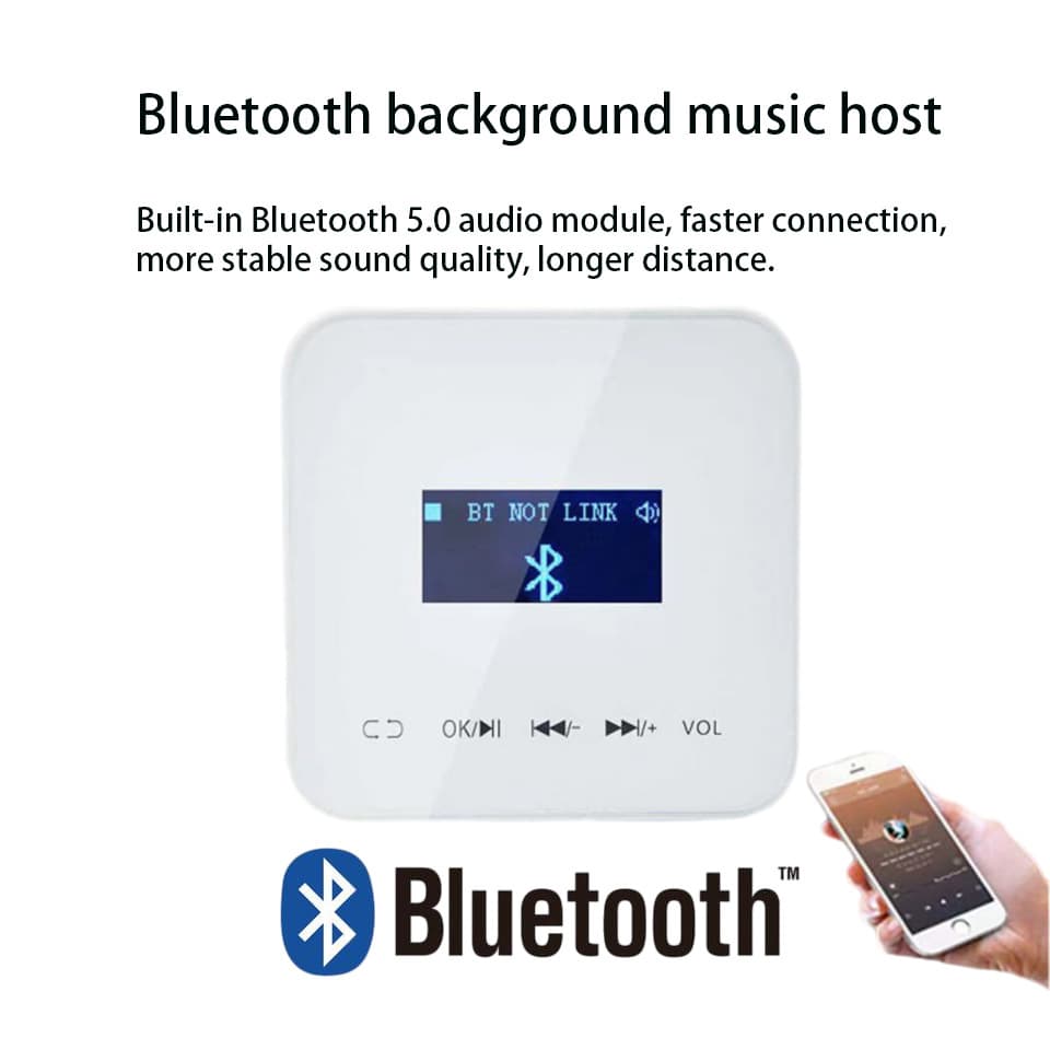 Bluetooth Amplifier Mini Bluetooth Amplifier Player Wall Mount