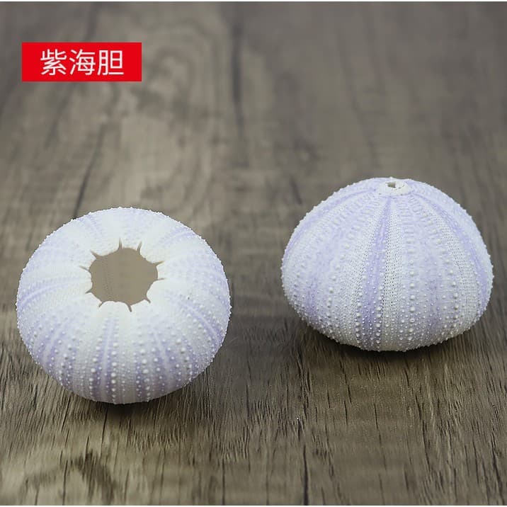 Natural Purple Air Pineapple Bonsai Decoration with Seashells and Conch Shells for Wedding Decor DIY Wholesale