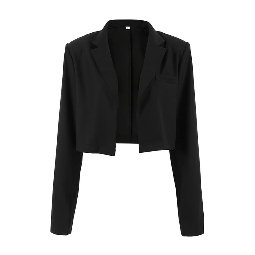 European and American Niche Black Short Blazer Jacket 2025 Fall New Commute Long Sleeve Stand Collar Top Women's Wear