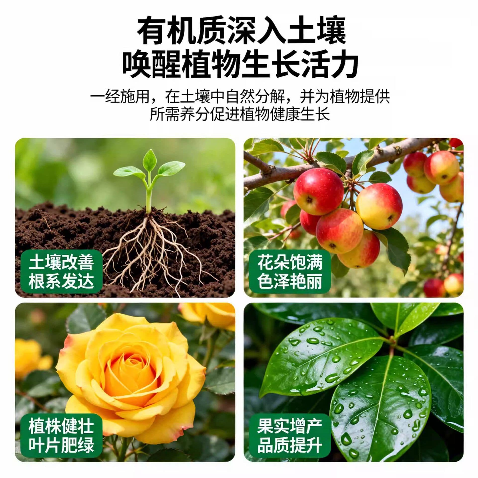 Peptide fertilizer for green plants, flowers, potted plants, and vegetables; general-purpose compound fertilizer for home gardening; superior peptide nitrogen fertilizer specifically for vegetable planting.