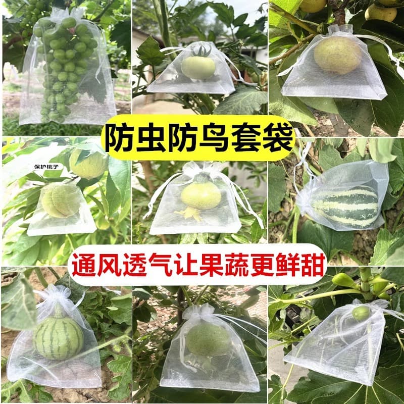 Fruit and Vegetable Pest-Proof Bag, Bird Netting, Light-Transmitting Blueberry Tomato Bag, Breathable Grape Dragon Fruit Cover Net, Light-Transmitting Fruit and Vegetable Bag