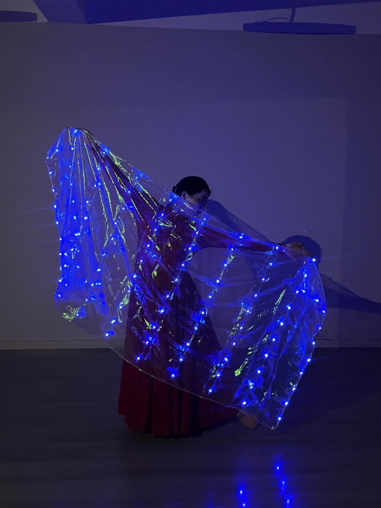 New Solid Color Glowing Gauze Scarf Stage Prop Costume Accessory for Oriental Dance Performance Belly Dance 2m*1