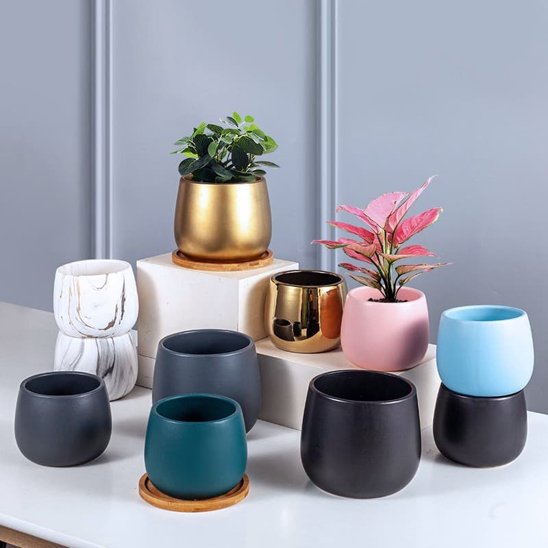 Creative Ceramic Small Planter Wholesale, Nordic Ins Electroplated Hydroponic Pot, Ceramic Decoration for Pothos Succulent