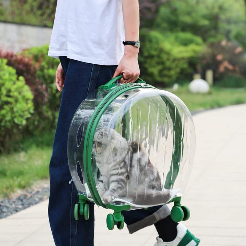 Mopet directly supplies pet cat bags, transparent cat carriers, portable cat carry-on transparent airline cases.