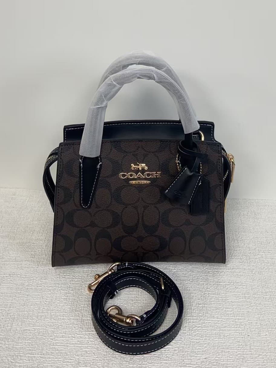 2025 New ANDREA Lady Dior Bag, European and American Retro Style Handbag, High-End Monogram Pattern Shoulder/Crossbody Bag