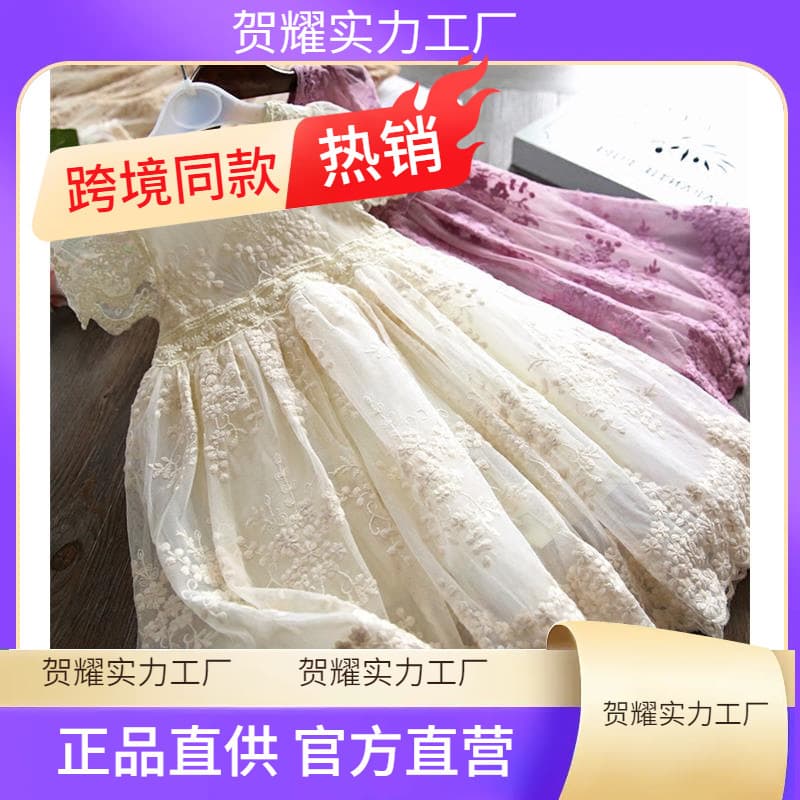 Girls Dress Embroidery Princess Party Autumn Spring Kids Children