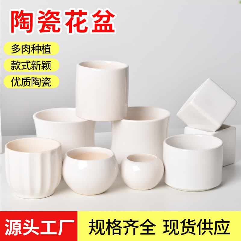 Dehua white porcelain succulent pot, pure white modern home garden ceramic small pot, cross-border minimalist succulent planting pot