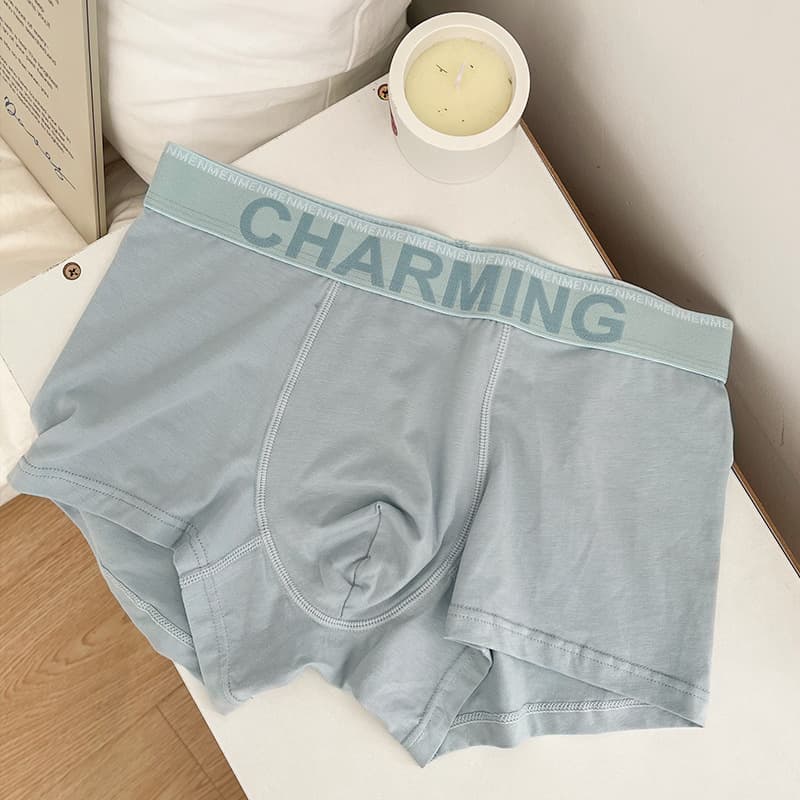 Men's Modal Cotton Boxer Briefs, Fall/Winter Seamless 7A Antibacterial, Wholesale