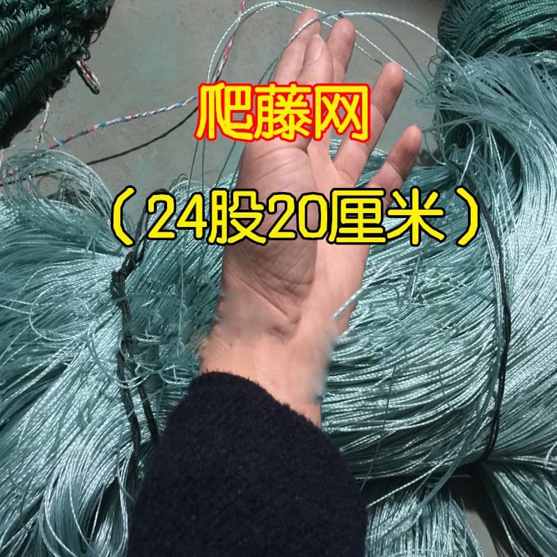 Factory wholesale plant climbing netting, protective netting for grapes, cucumbers, beans, and vegetable gardens.