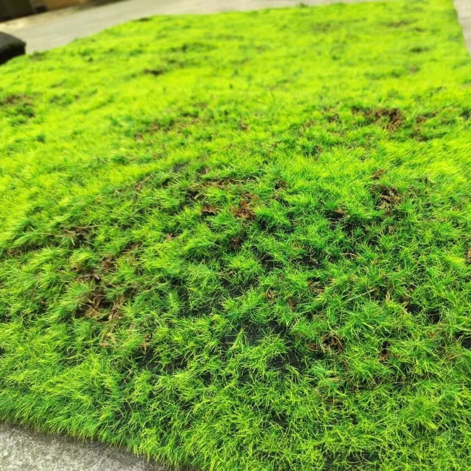 Artificial Moss Green Fake Moss Background Decoration Plant Wall Lawn Micro Landscape Artificial Moss Turf