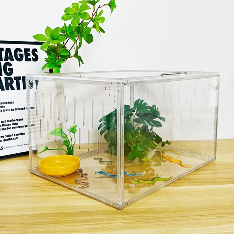 Transparent acrylic small household juvenile snake cage, breathable, suitable for raising baby snakes, pet snakes, and reptiles.