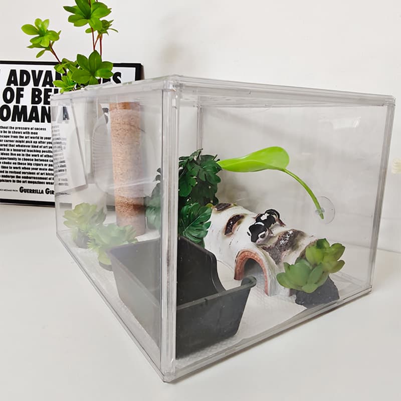 Reptile enclosure made of acrylic, suitable for crested geckos, reptiles, and lizards; fully transparent enclosure with view.