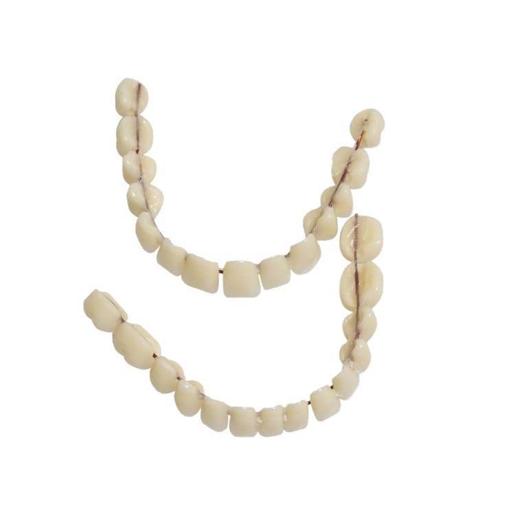 2026 New Product: Silicone Simulation Temporary Full-Coverage Dentures, Whitening, Smile Stage Props, Upper and Lower Denture Set