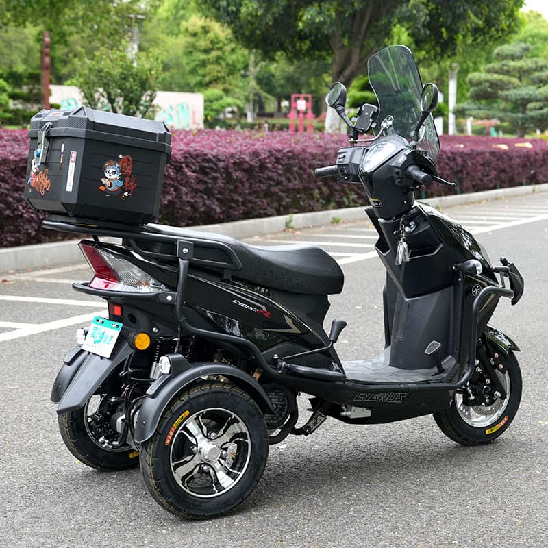 New Shangling EFI Three-Wheel Motorcycle for Men Women Commuting Fuel Scooter