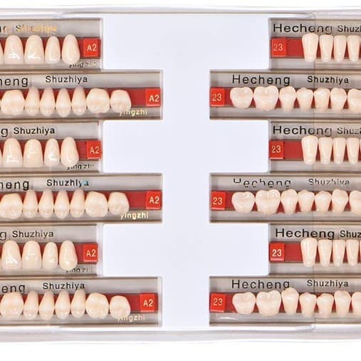 Resin teeth oral dental materials teaching mold dentures students practice teeth plastic tooth model