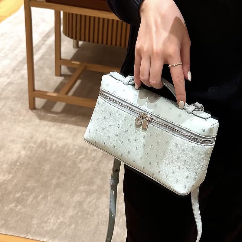 LP19 Small Square Bag Lunch Box Genuine Leather Handbag New Ostrich Pattern Cosmetic Case Handheld Fashion Shoulder Crossbody Bag for Women