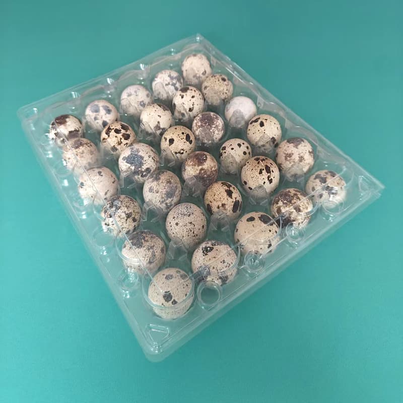 30-Pack Quail Egg Tray Disposable Plastic Transparent Thickened 30-Pack Quail Egg Packaging Box