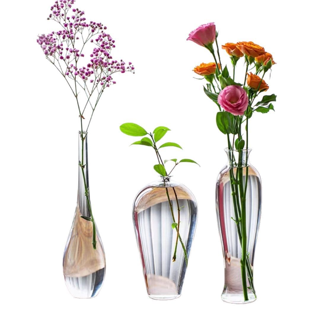 Glass Vase Decoration Transparent Hydroponic Flower Vessel Light Luxury Dining Table Living Room New Chinese Zen Water Cultivation Guanyin Bottle