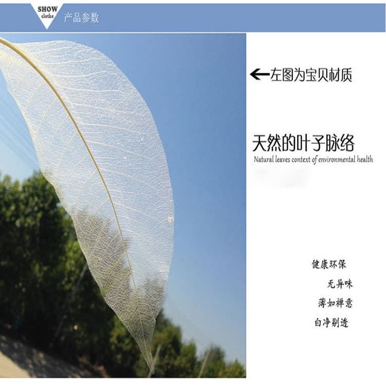 New Photography Props Veined Leaves, Colored Eternal Leaves Magnolia Leaf Bookmark Dried Flower Materials
