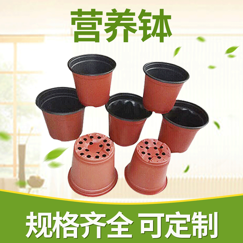 Factory Supply Two-Color Succulent Flower Pot, Green Plant Gardening Supplies, Simple Seedling Pot, Plastic Two-Color Small Flower Pot