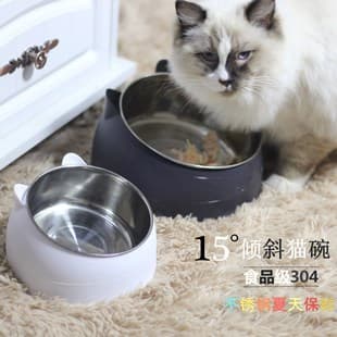 Trendy Stainless Steel Cat and Dog Bowl Double Bowl Set, Ergonomic Slanted Design for Neck Protection, Viral Pet Food Bowl for Cats