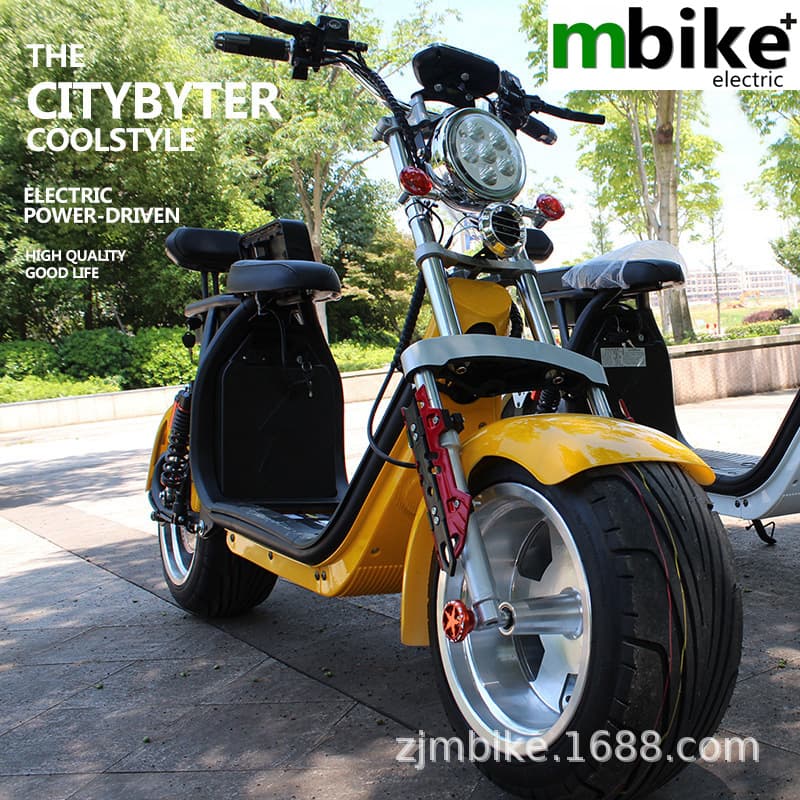 Harley Electric Bicycle with Lithium Battery, Electric Scooter, Moped, Large Harley Electric Motorcycle for Adults