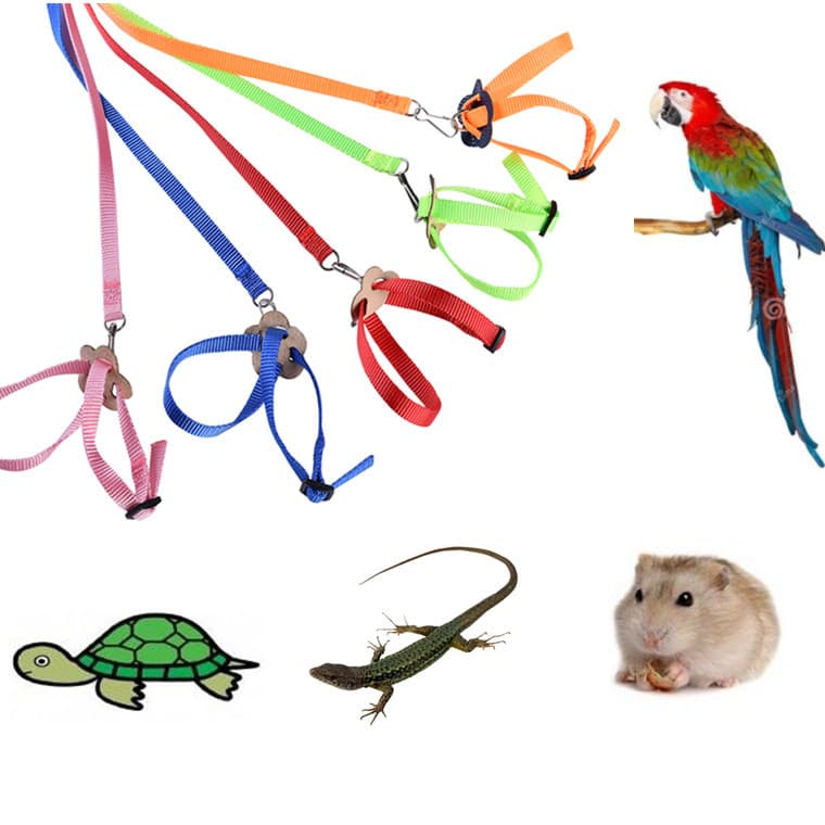 Cross-border Parrot, Hamster, Turtle, Lizard Leash 8-shaped Harness Bird Parrot Tether Flying Rope Extension Rope