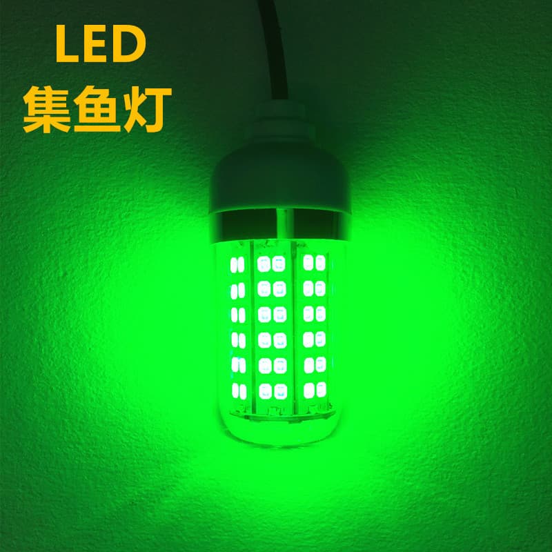 Outdoor Led Fishing Lamp 12v Voltage Waterproof Green Light Led Fishing Light Raft Lure