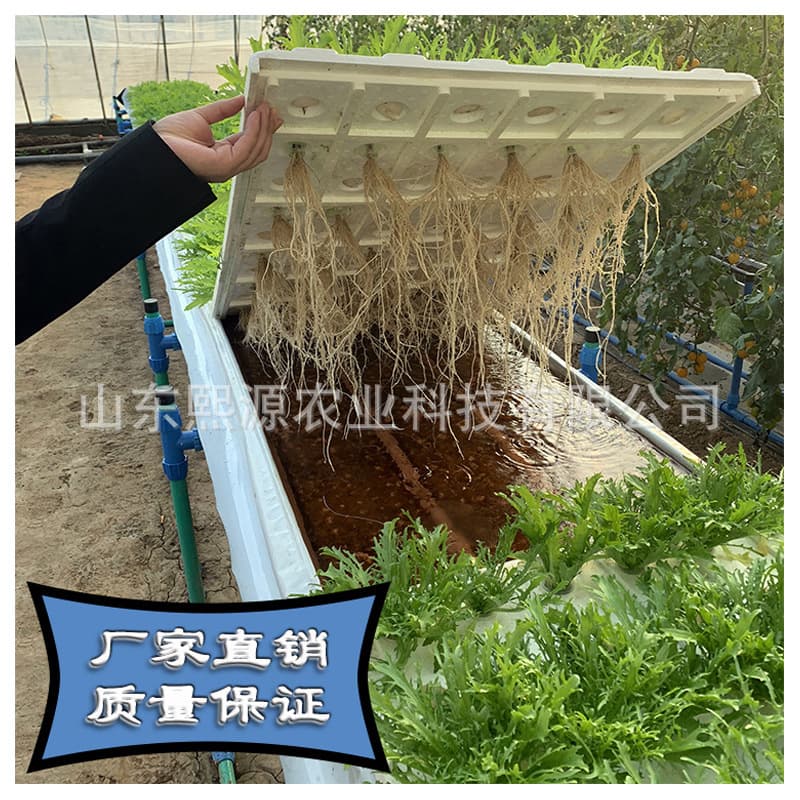 Foam board shallow liquid flow hydroponics hydroponic vegetable hydroponic tank leaf vegetable soilless cultivation vegetable cultivation tank