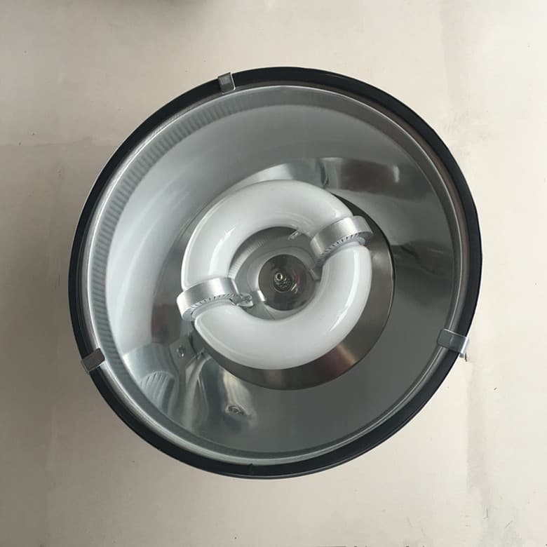 Manufacturer sells low-frequency induction lamps 165/80, factory lights, industrial and mining lighting fixtures, engineering workshop lights, induction lamps.