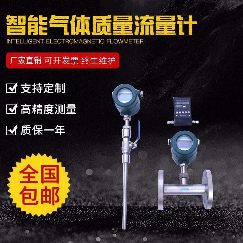 Thermal Gas Mass Flow Meter for Natural Gas, Air, Biogas, and Exhaust Gas