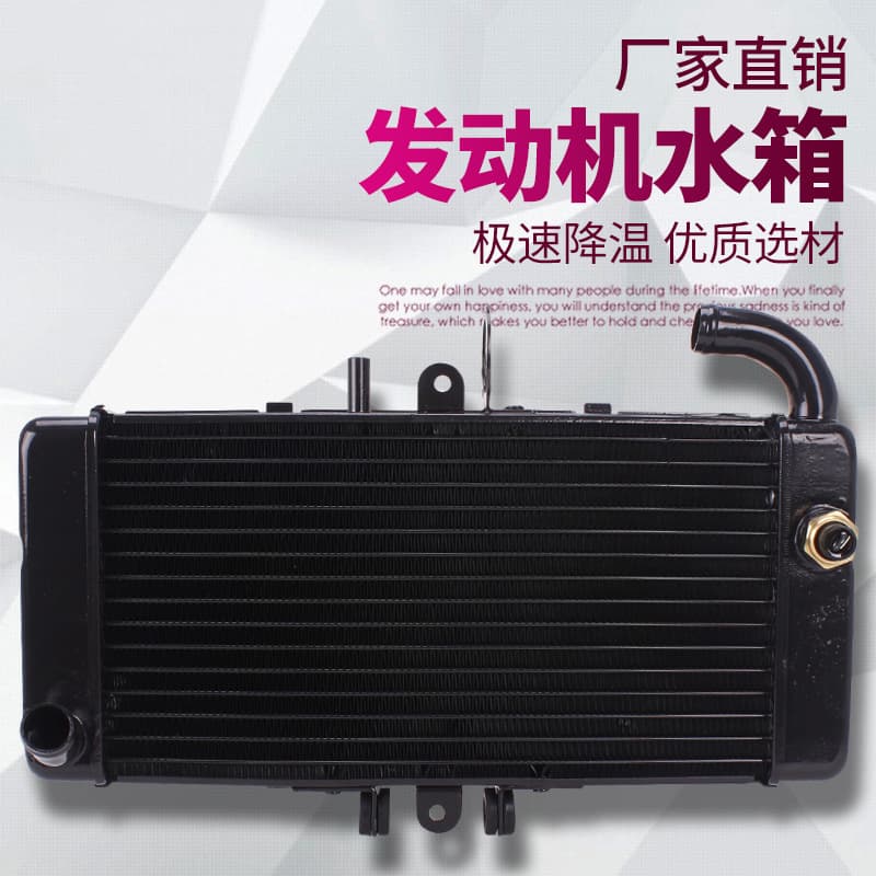 Compatible with Honda CB400 VTEC400 1st-3rd Gen 1992-2013 Radiator Assembly Water Cooler Tank