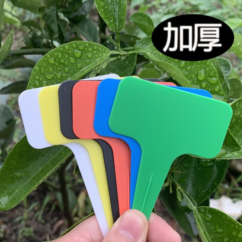 Thickened Gardening Plant Labels Succulent Plastic Labels For Amazon Flowers Durable Waterproof Plant Tags
