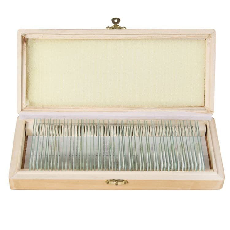 Microscope section biological specimen wooden box teaching specimen various set specimens animal and plant specimen sections