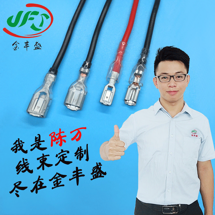 Factory Direct supply 187 plug spring tinned copper terminal line battery line power module line button switch connecting line